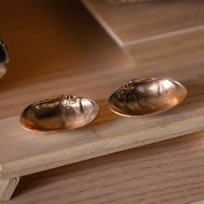 若菜　wakana｜26雛人形ケース飾り